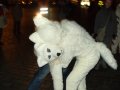 DSCF2836.JPG